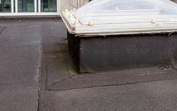 disadvantages of Glen Of Newmill flat roofs