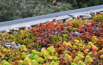 the cost of Glen Of Newmill green roof installation