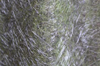 Glen Of Newmill fibreglass roof work